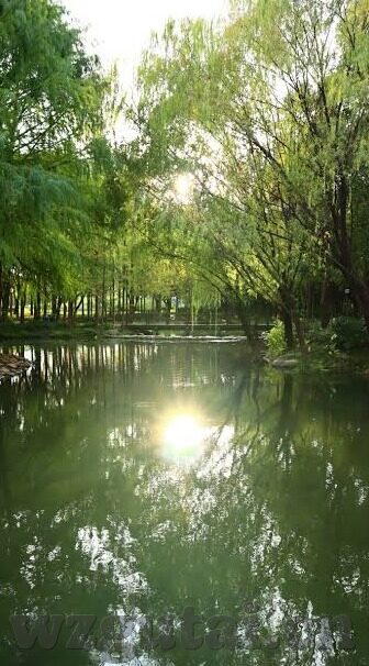 2021国产麻豆剧传媒在线-2021，国产麻豆剧传媒的在线革新与发展