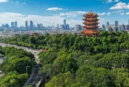 成人黄色视频图片-成人内容与网络伦理，界限与影响