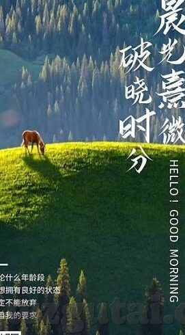 麻豆传媒映画app无限观看-数字时代下的媒介边界与影像反思——麻豆传媒映画app的无限观看现象分析