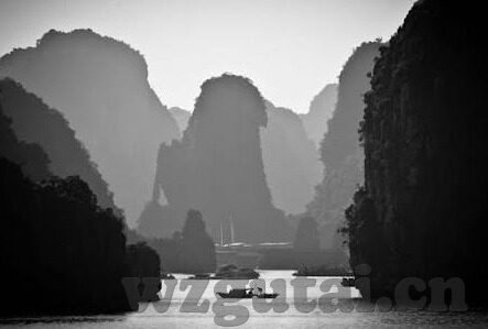 漂亮人妻被中出中文字幕-漂亮人妻的温柔与坚韧，一段隐秘的情感故事