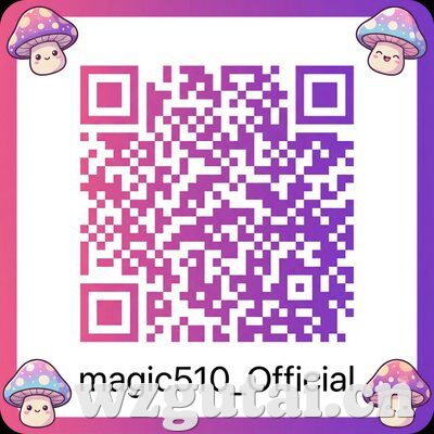 茄子视频公众号