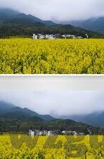人妻教师是人妖-角色与身份的错位，人妻教师与人妖的误解