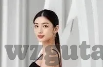 日韩av电影毛片在线看-日韩AV电影的误解与现实，理性视角下的文化探讨