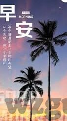 糖心vlog网站下载-解锁生活新视角，探索糖心Vlog网站下载的体验