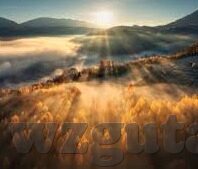 亚洲av日韩在线观看中文可以-探索亚洲影视文化的多元魅力，日韩在线观看的中文视角